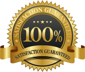 CEO Content Systeem 6 100 guarantee seal 1